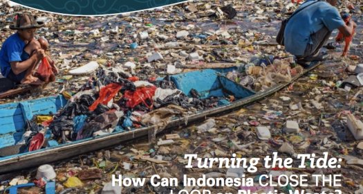 InsightOut Issue 7 -- Cover